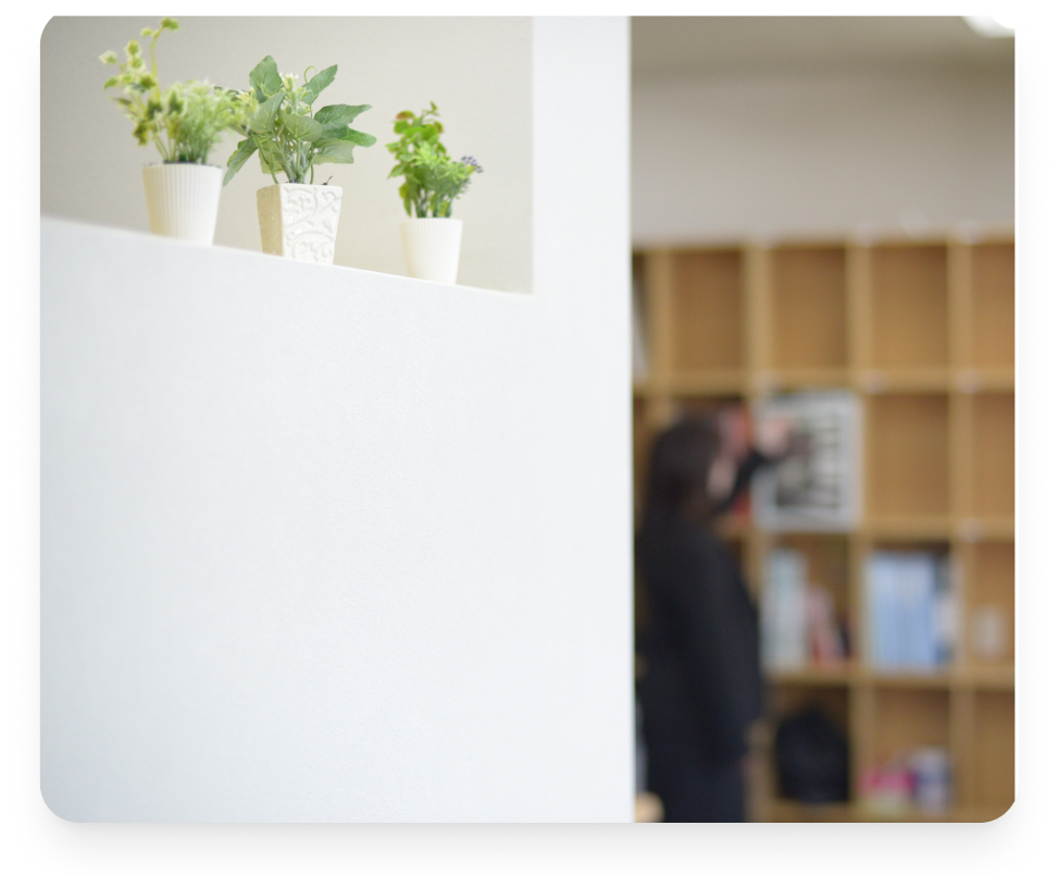 本棚と観葉植物